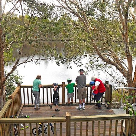 Kirra Beach Tourist Park 库伦加塔 外观 照片